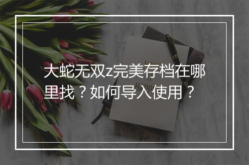 大蛇无双z完美存档在哪里找？如何导入使用？